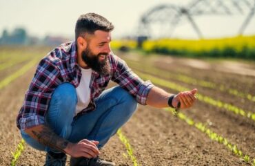 Solo e Produtividade Agrícola